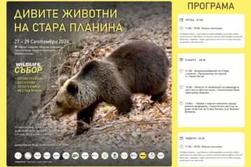 Балкански Wildlife събор 